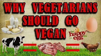 why vegetarians should go vegan Vegetarian resources - why vegetarians should go vegan