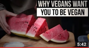 vegan resources - Why vegans want you to be vegan