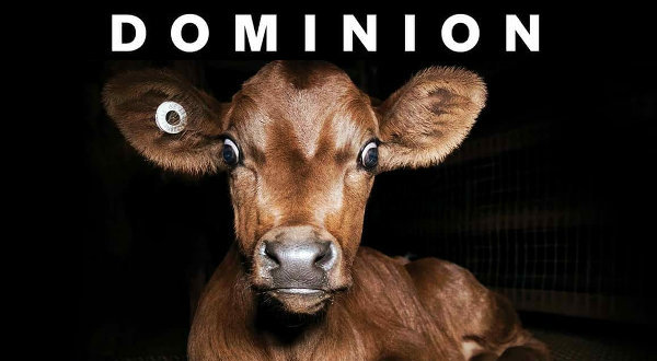 Vegan resources - Dominion the movie