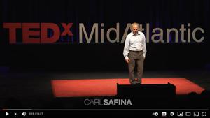 Vegan resources - Carl Safina - what animals are thinking