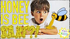 bsv-honey Bite Size Vegan - honey