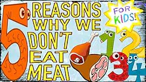 bsv-meat Bite Size Vegan - 5 reasons we don't eat meat